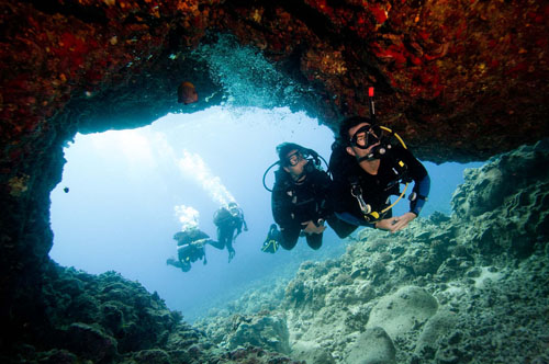 Leading a group of students can be exciting and incredibly rewarding! Train to become a PADI Divemaster at the Surrey Dive Centre and open up countless opportunities for yourself.