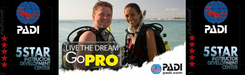 Surrey Dive Centre is a 5* Instructor Development Centre... Begin your Scuba Diving Career here!